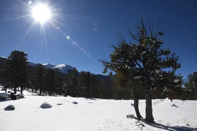 DSC_4895 (Large).JPG